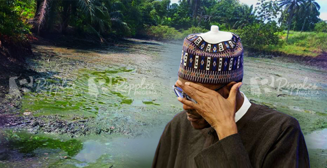 INVESTIGATION…. INSIDE OGONILAND: How a promised clean-up is turning into a people’s nightmare Image